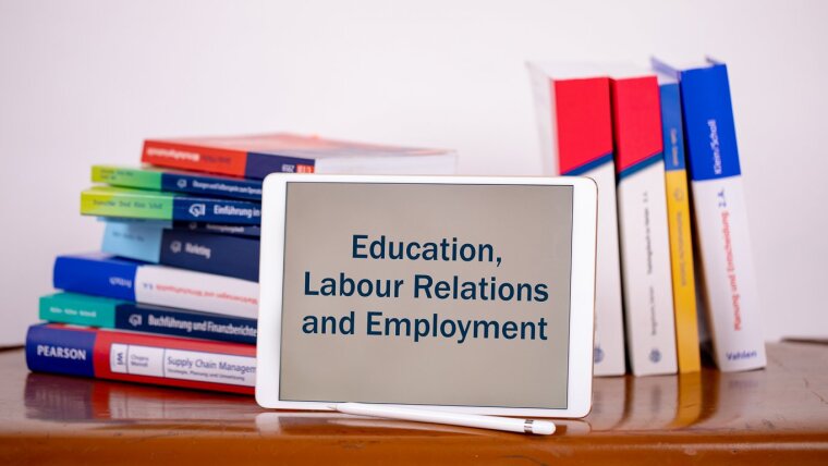 Education, Labour Relations and Employment 